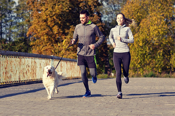 Everything You Need to Run With Your Dog — Running With Your Dog Gear