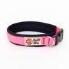 Ruff Life Gear Padded Dog Collar - Ruff Life Gear