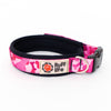 Ruff Life Gear Padded Dog Collar - Ruff Life Gear