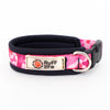 Ruff Life Gear Padded Dog Collar 5/8 inch - Ruff Life Gear