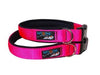 Surf's Up Dog Padded Collars Clearance** - Ruff Life Gear