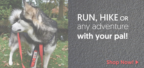 Ruff Life Gear Contrast Page