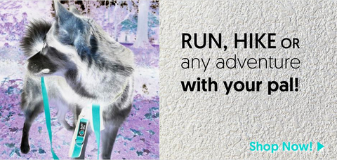 Ruff Life Gear Visually Impaired Page