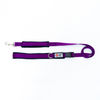 Multi-function Dog Leash