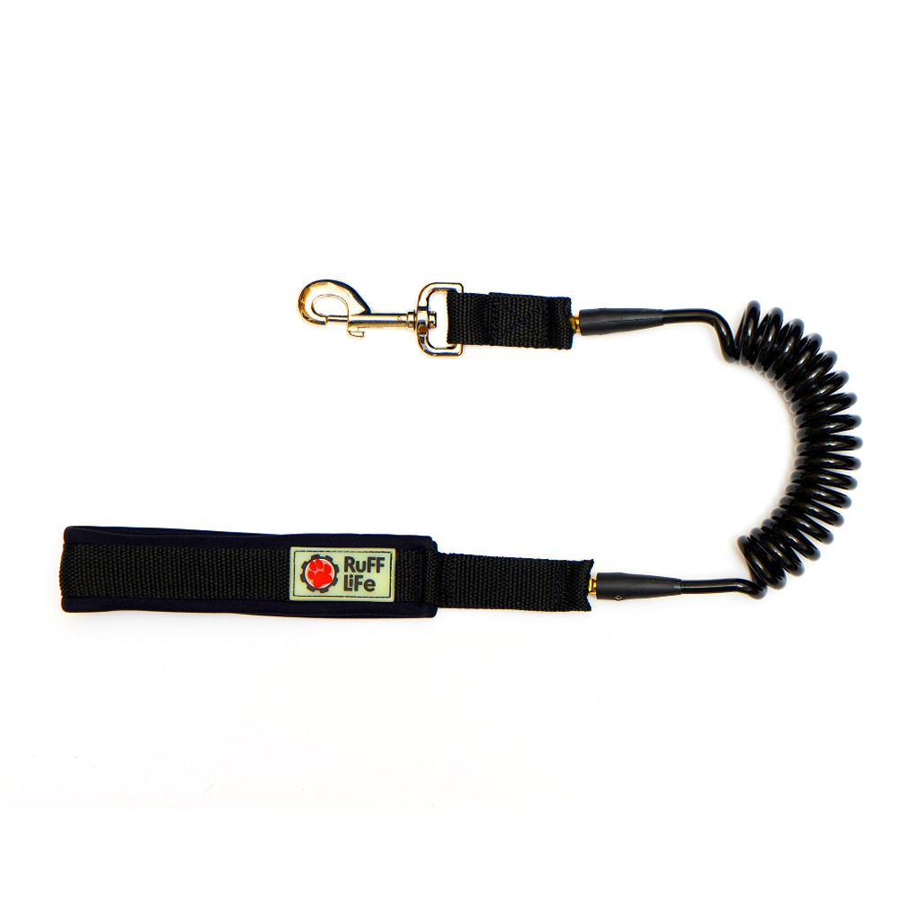 Small Coil Dog Leash