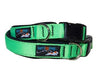 Surf's Up Dog Padded Collars Clearance** - Ruff Life Gear