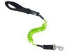 Surf's Up Dog Large Coil Leash 4ft Clearance** - Ruff Life Gear